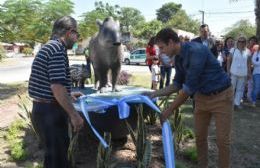Cipolini inauguró la atractiva escultura del Tapir en Sáenz Peña