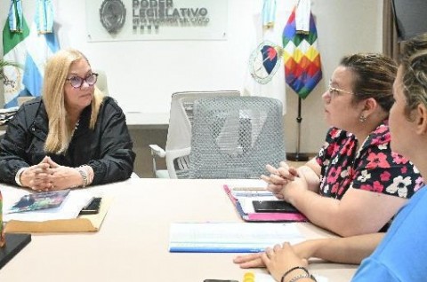 La Legislatura trabaja en la regulación de la puericultura en la provincia