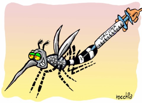 La provincia refuerza la prevención y el control del dengue