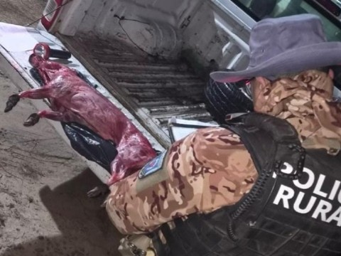 Decomisaron carne de animal silvestre y detuvieron a un hombre en la zona de El Paranacito