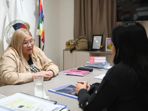 La Legislatura avanza en el trabajo con instituciones para la protección de los derechos de las infancias