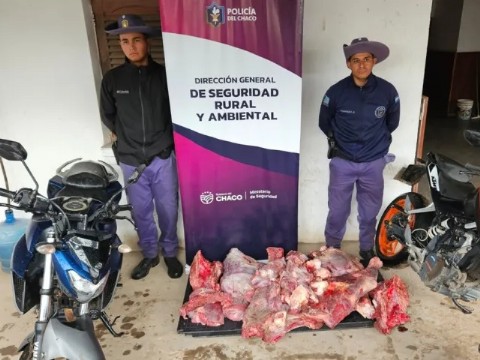 Investigan la faena clandestina de un caballo en Fontana y secuestraron 100 kilos de carne