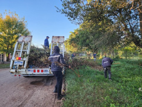 El Municipio de Colonia Elisa realiza trabajos de poda y mantenimiento en la Escuela 114