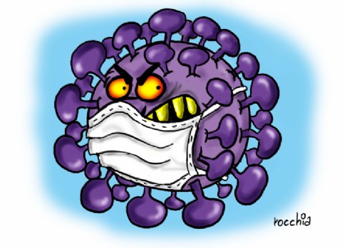 Confirmaron el primer caso de Gripe H3N2 en la provincia