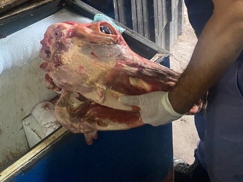 Secuestraron más de 180 kilos de carne de dudosa procedencia en Colonia Elisa