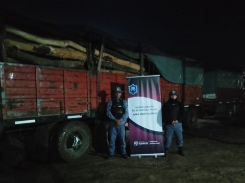 Secuestraron más de 24 toneladas de postes sin documentación en Juan José Castelli