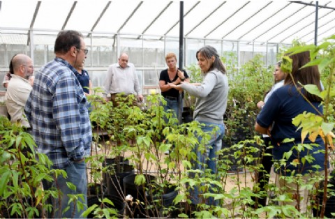 INTA Sáenz Peña presentó sus avances en algodón, forestales y cartografía
