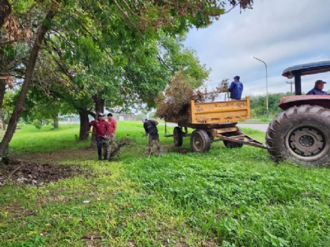 El municipio de Colonia Elisa refuerza trabajos de mantenimiento y servicios en los barrios