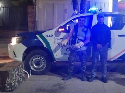 Resistencia: rescataron a un lagarto que quedó atrapado en el motor de un vehículo