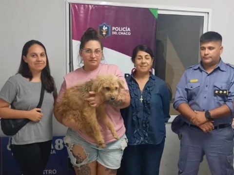 Rescataron a un perro por un caso de maltrato animal en Resistencia