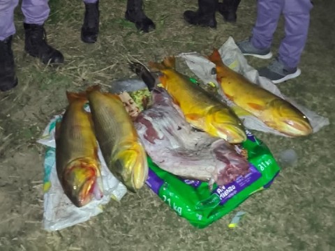 Demoraron a un hombre con pescados y un carpincho faenado en Puerto Vilelas