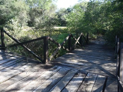 VIDEO | El Parque Caraguatá de Resistencia, entre el abandono y la desidia
