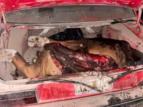 Demoraron a un joven tras hallar carne vacuna en su auto en la zona rural de Villa Ángela