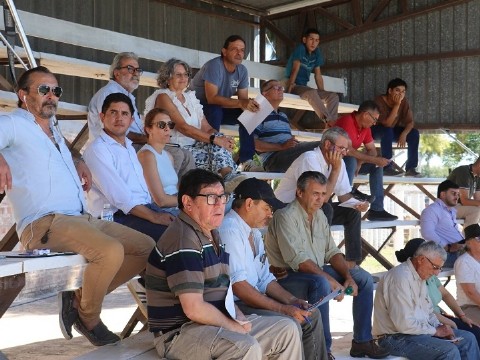 Machagai: se realizó el Remate asistido para pequeños y medianos productores