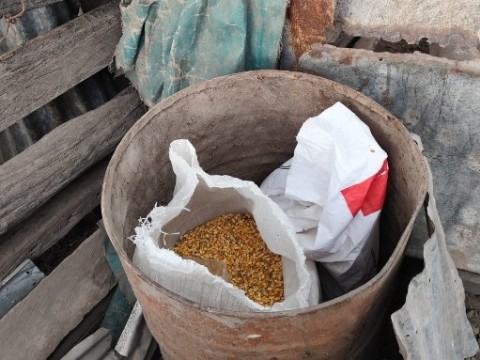 Recuperaron cereales robados de una estancia en Enrique Urien
