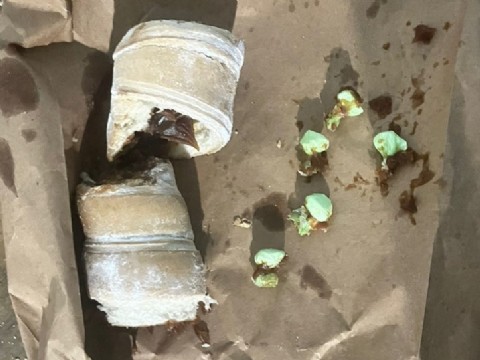 Un joven intentó pasar facturas con cocaína a un detenido en Resistencia, pero lo descubrieron