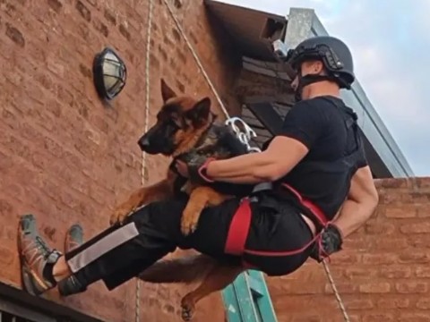 VIDEO | Horacio Cornut: "Ningún perro nace malo ni fue diseñado para atacar por naturaleza"