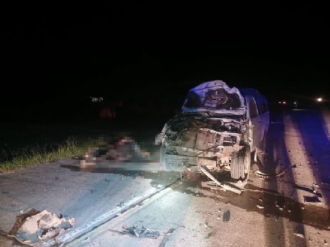 Una camioneta impactó contra un caballo suelto en Colonias Unidas