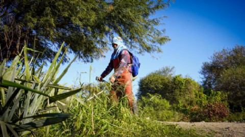 La Municipalidad de Barranqueras realizó un nuevo operativo integral de desmalezamiento y recolección de ramas