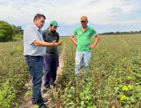 El Gobierno provincial endurece controles contra el uso de herbicidas prohibidos en Las Breñas
