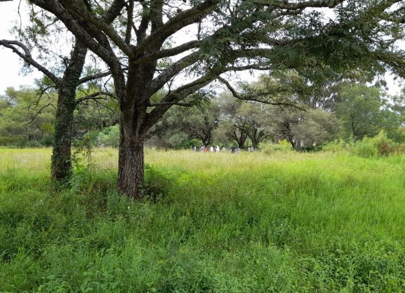 Hallaron un cuerpo y sería de Marciano Ortíz