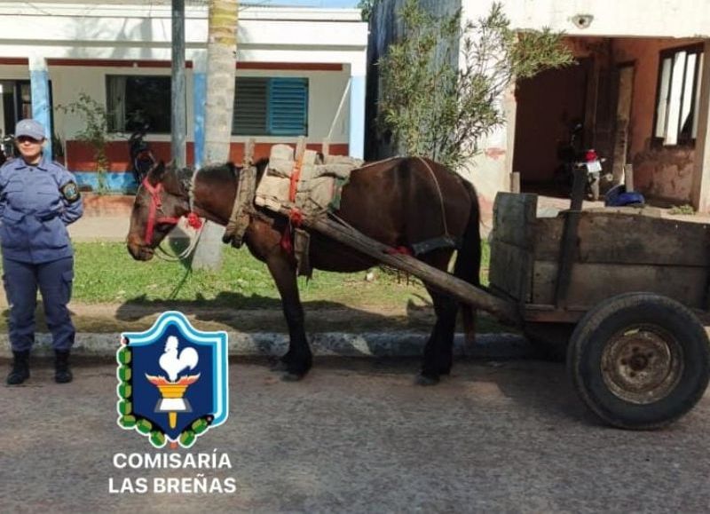 Las Breñas: demoraron a dos menores por arrojar basura en la calle