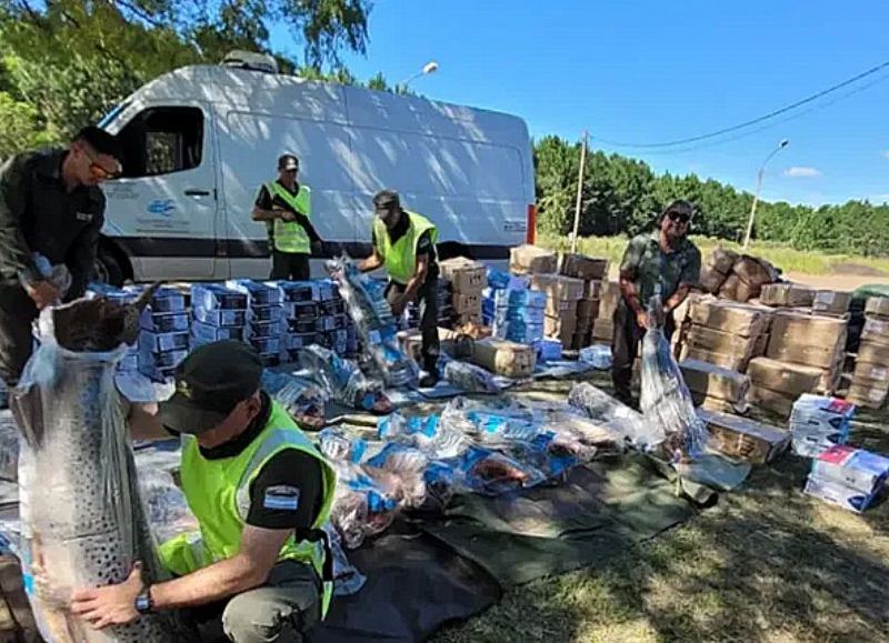 Detuvieron a un conductor chaqueño con millonaria carga ilegal de pescados