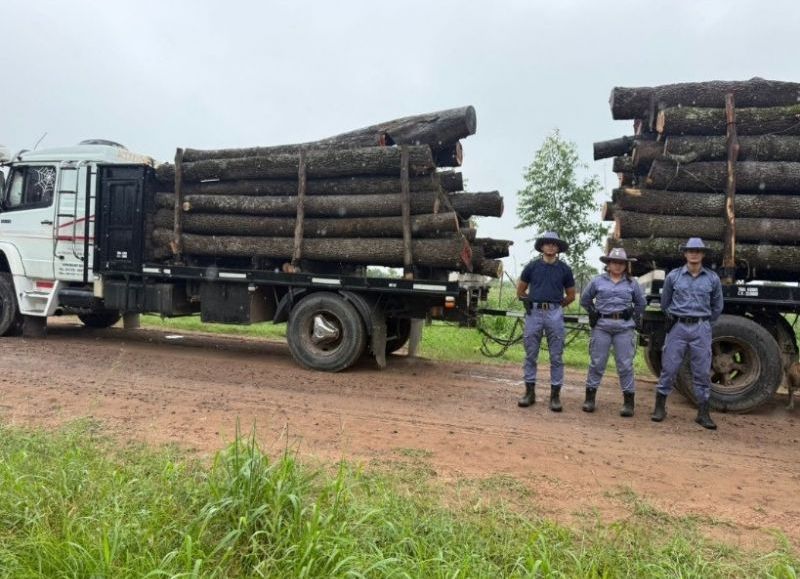 Secuestraron 27 toneladas de madera en Pampa del Indio