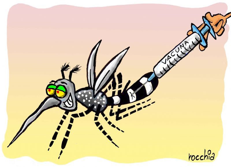 La provincia refuerza la prevención y el control del dengue