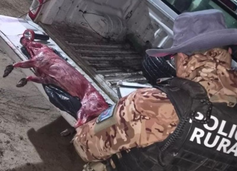 Decomisaron carne de animal silvestre y detuvieron a un hombre en la zona de El Paranacito