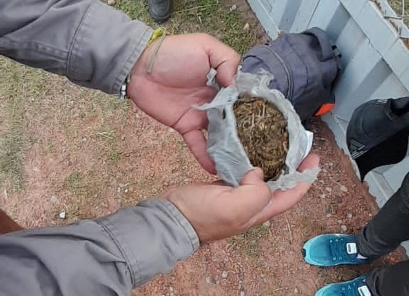 Detuvieron a un hombre y secuestraron marihuana en General San Martín