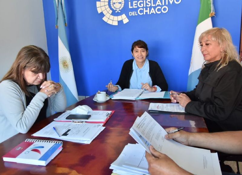 Dictamen favorable para instaurar el Día Provincial de la Niñez Indígena