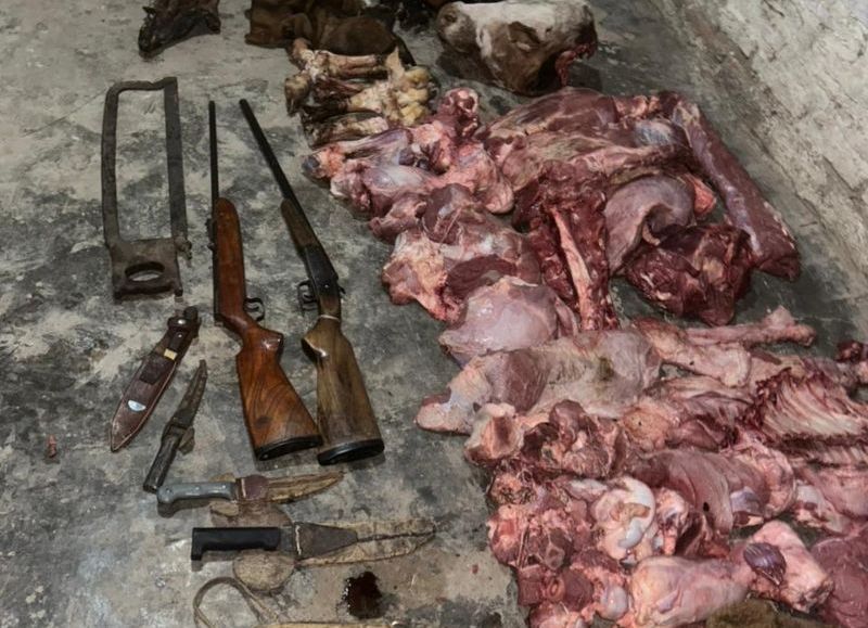 Secuestraron carne faenada y armas en la zona rural de Basail