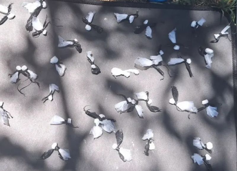 Detuvieron a un hombre con cocaína y más de 50 mil pesos en Resistencia