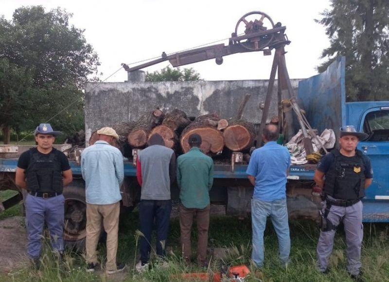 Secuestraron madera y detuvieron a cuatro hombres por tala ilegal en Tres Isletas