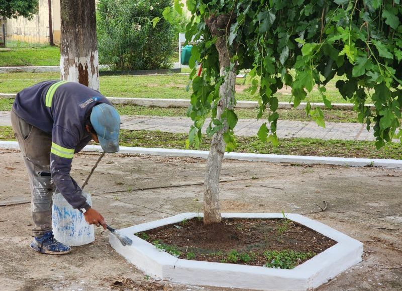 El Municipio de Colonia Elisa refuerza su compromiso con los barrios mediante un plan integral de mantenimiento
