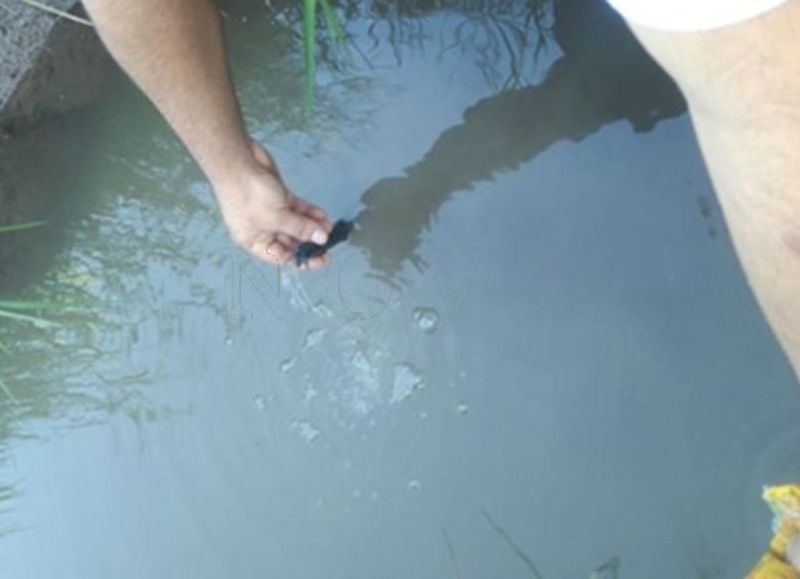 Madre denuncia que sus hijos se enfermaron por el agua contaminada; apunta a la Municipalidad