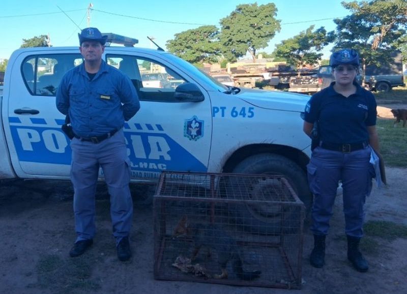 Efectivos asistieron a un perro maltratado y rescataron un cachorro de zorro