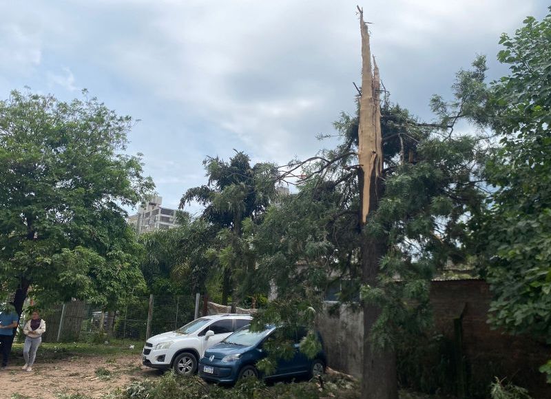 VIDEO| Un rayo derribó un árbol que causó destrozos en varios vehículos en el Hospital Pediátrico