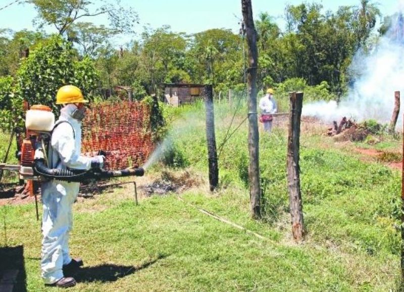 Advierten que el caso de zika en Chaco podría ser una "infección autóctona"