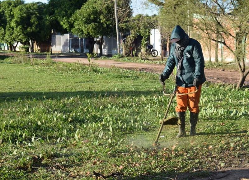 Tareas de desmalezado en la zona Sur de Resistencia