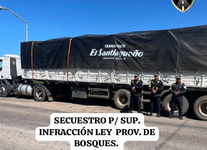 Secuestraron un camión con 25 toneladas de carbón por irregularidades en la documentación