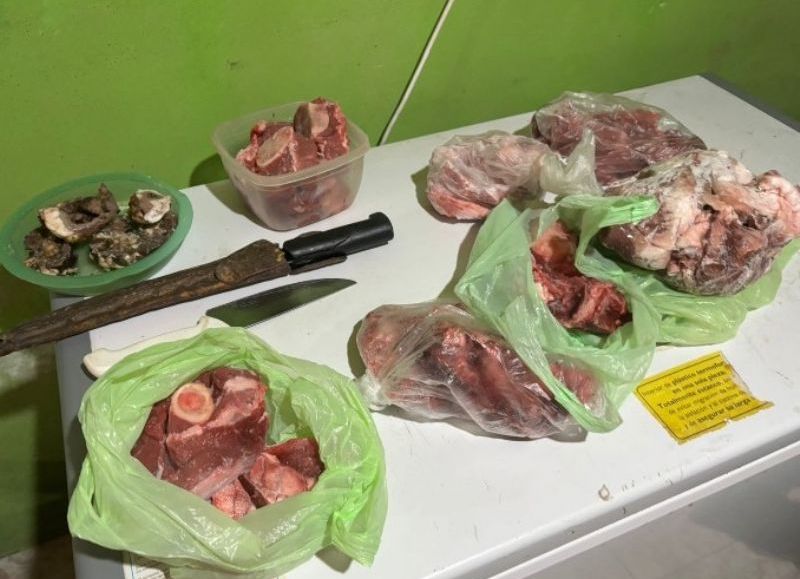 Incautaron más de 30 kilos de carne y detuvieron a un hombre en Villa Ángela