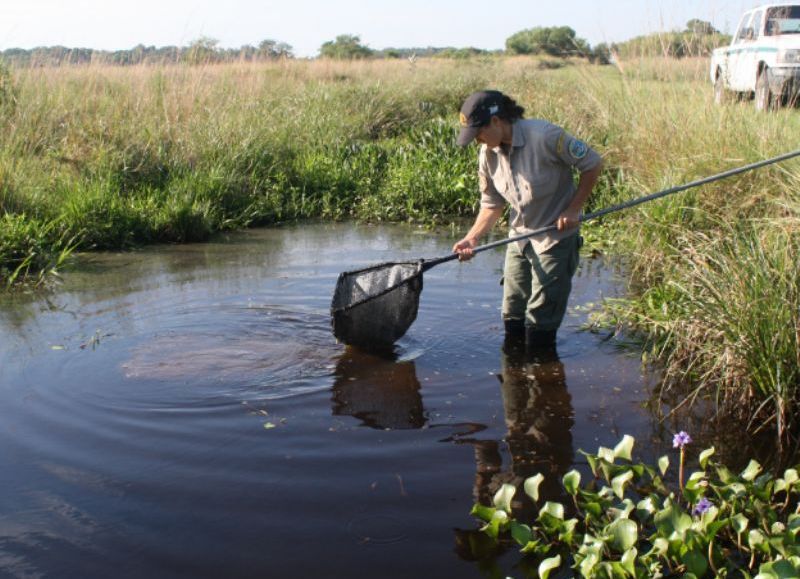 Guardaparques advierten la alarmante situación en la provincia