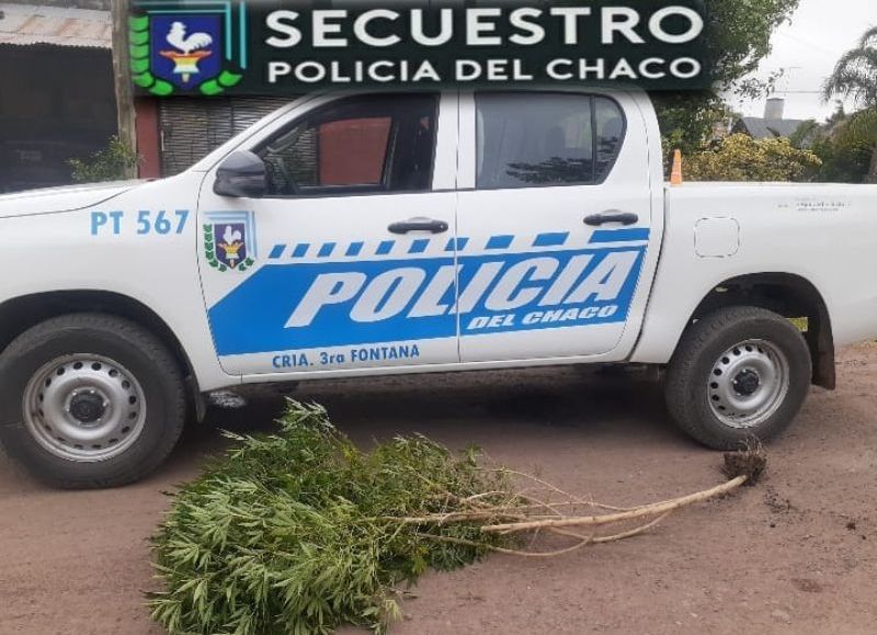 Dos personas fueron sorprendidas en Fontana trasladando una planta de marihuana