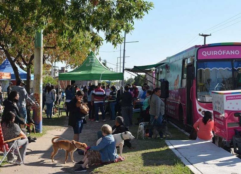 El programa de castración gratuita de mascotas de Resistencia llega al barrio 80 viviendas
