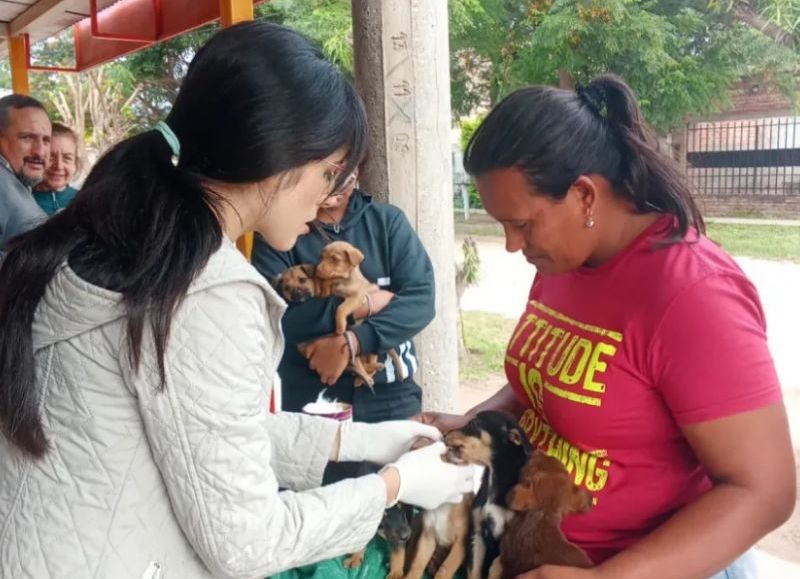 Sáenz Peña completó una nueva jornada de vacunación y desparasitación de mascotas