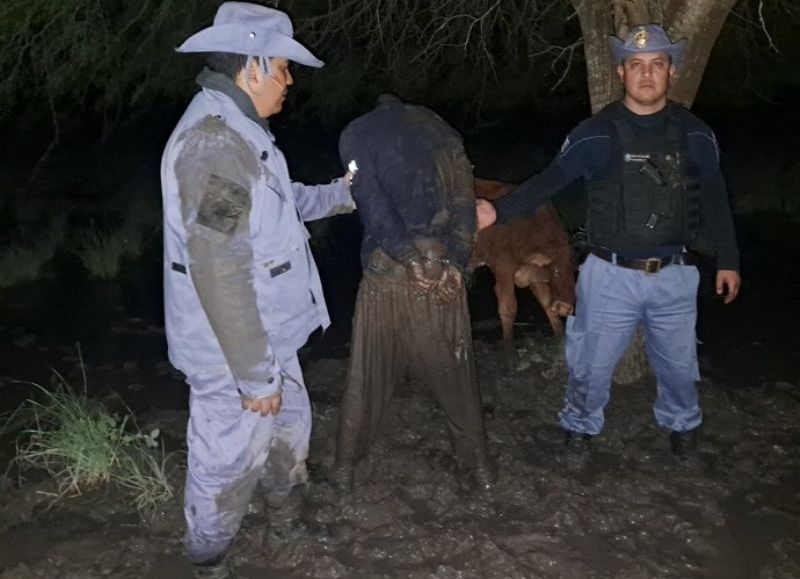 Frustraron un intento de abigeato en zona boscosa de La Verde