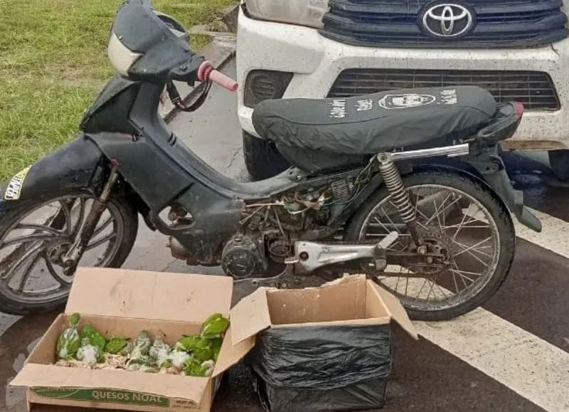 Demoraron a una mujer que transportaba 46 aves silvestres en Basail
