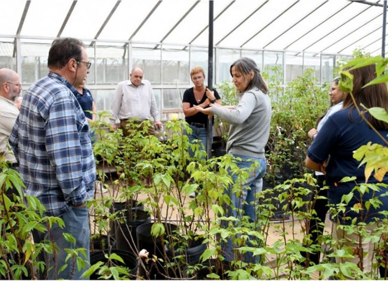 INTA Sáenz Peña presentó sus avances en algodón, forestales y cartografía